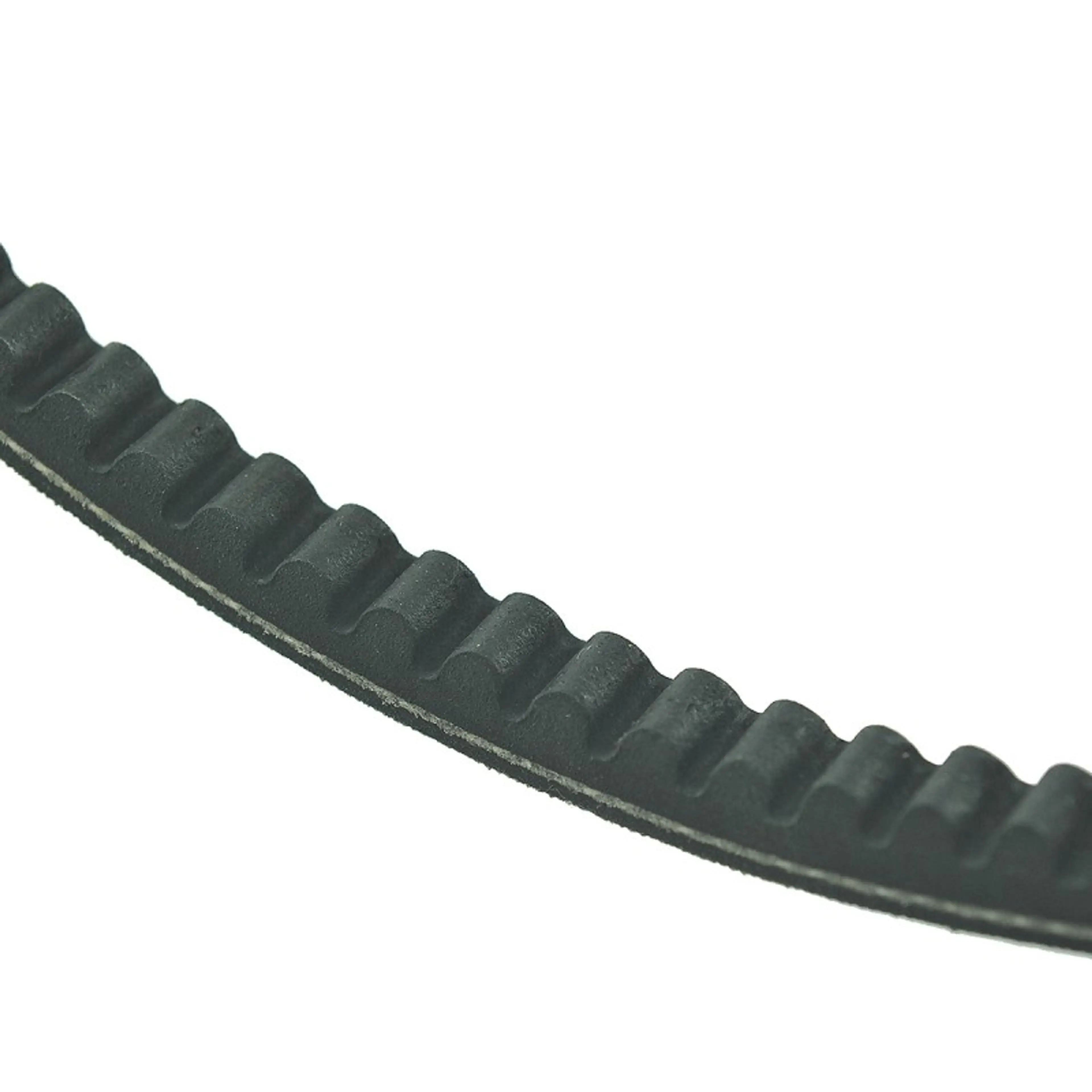 CORREA TRAPEZOIDAL