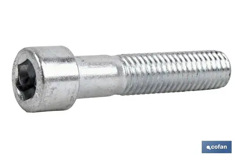 DIN 912 8.8 5X25 Z