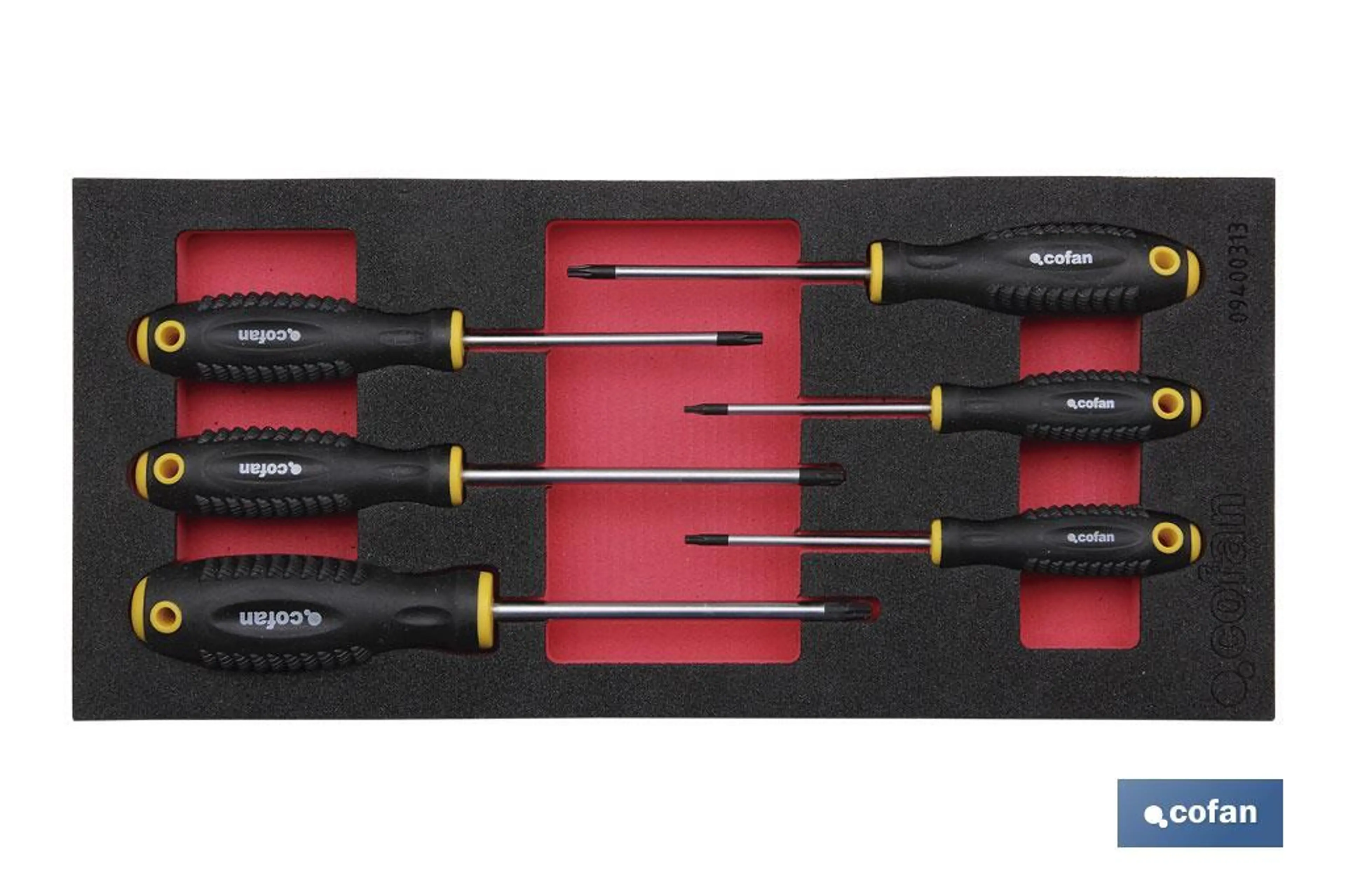 MÓDULO DEST.TORX