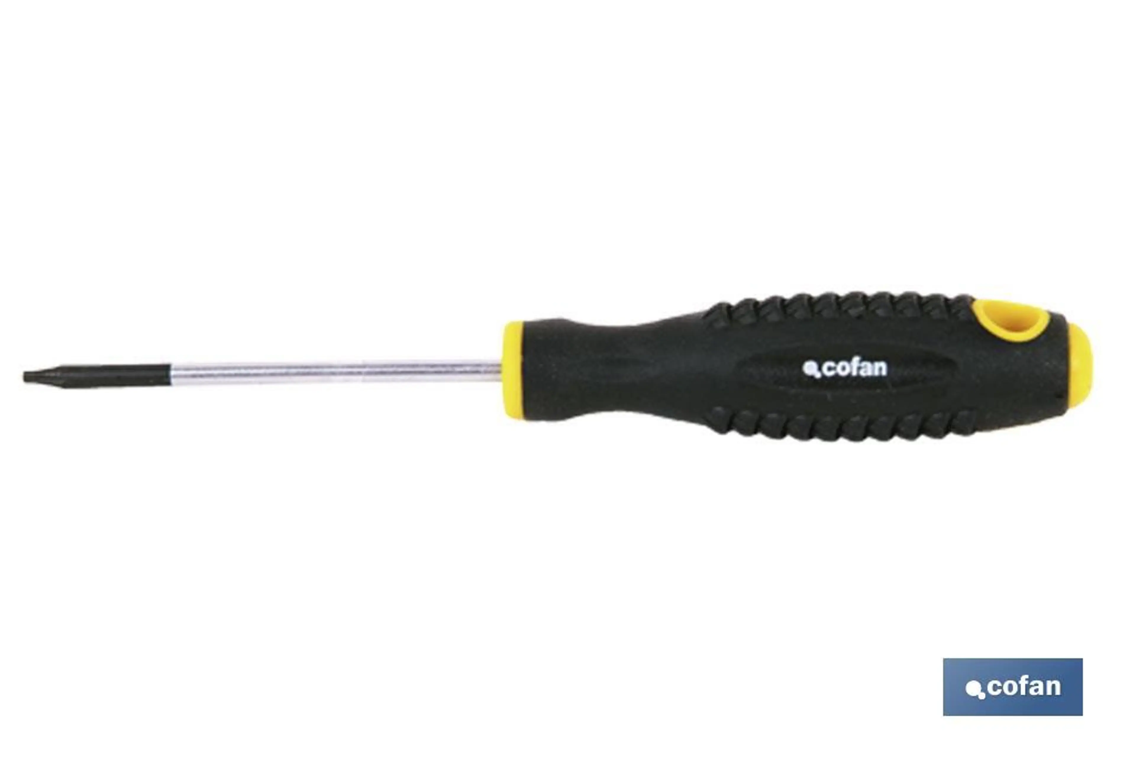 DESTORN. MOLIB. TORX T-20X100